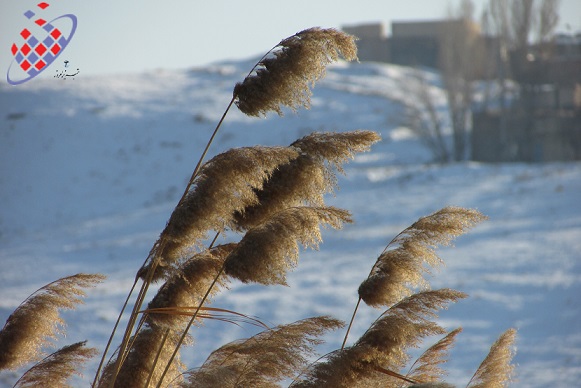 Aylin Farzan Mehr-آیلین فرزان مهر- زمستان - برف - تبریز -Winter - Tabriz - Snow
